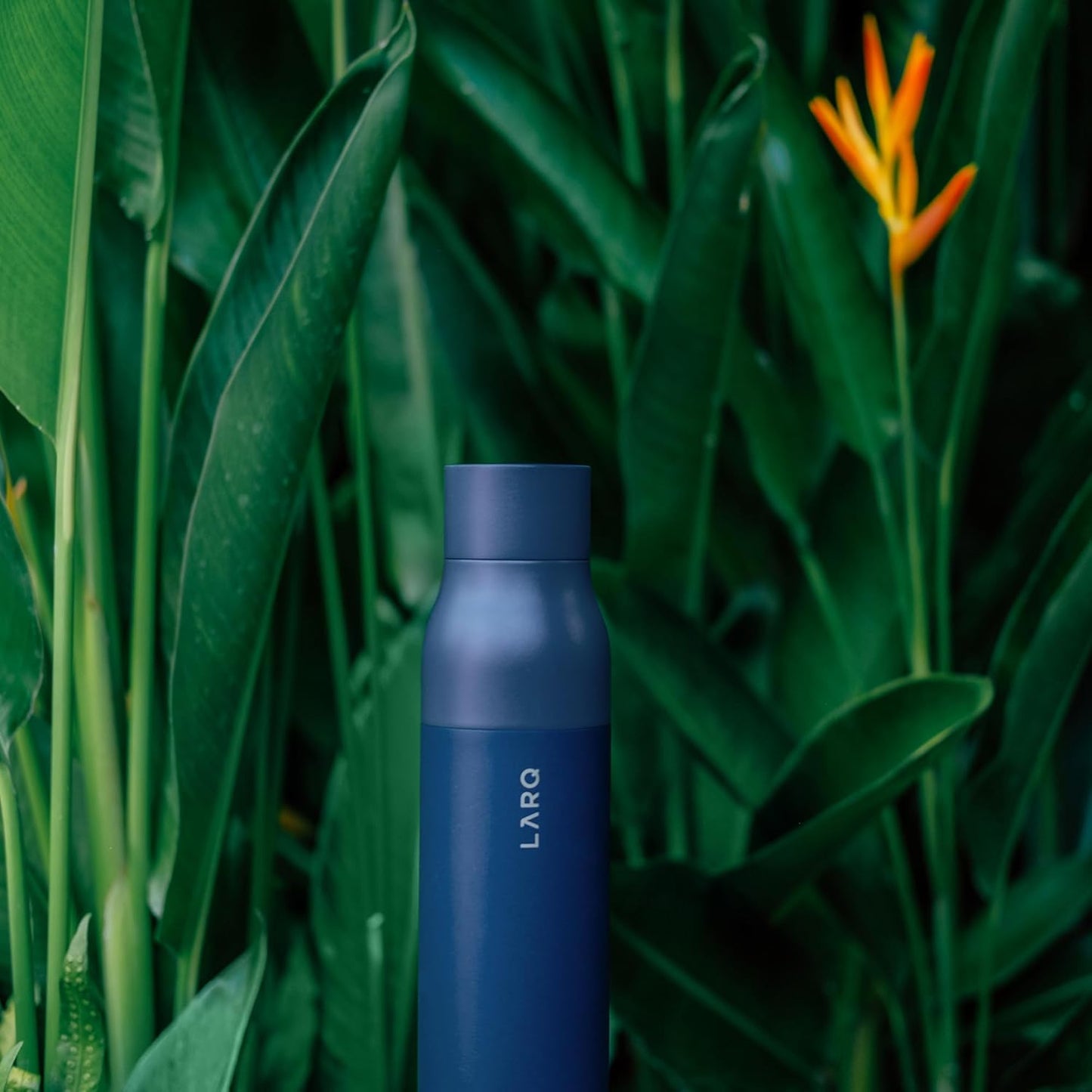 LARQ Bottle Purevis 17 Oz - Self-Cleaning And Insulated Stainless Steel Water Bottle With UV Water Purifier And Award-Winning Design | Reusable & Travel Friendly, 1-Year Warranty, Monaco Blue, 500 Ml